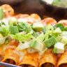Chicken Enchiladas with Red Chili Sauce